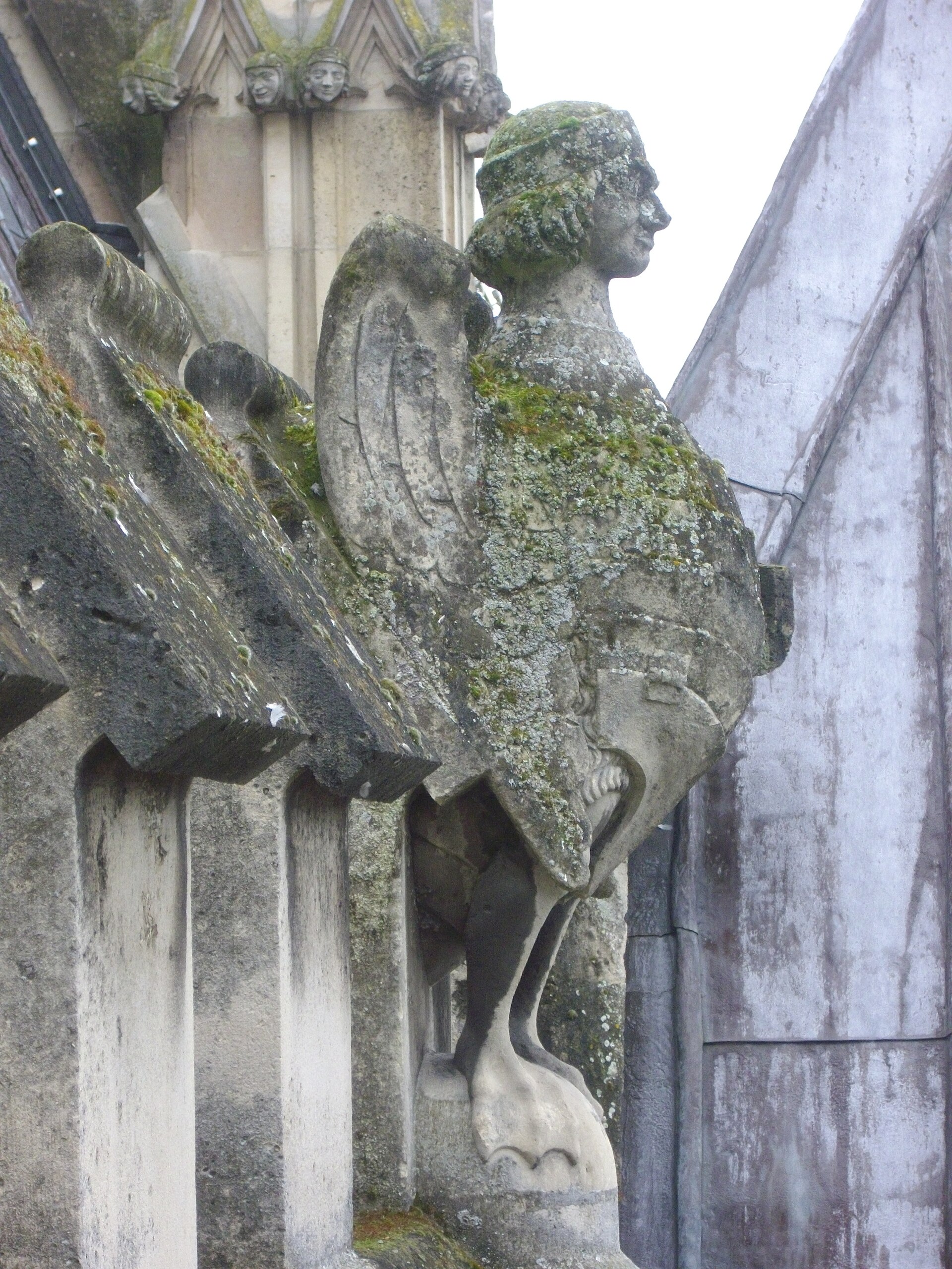 Image d’orientation de la série Cathédrales gothiques